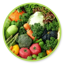 Helyes étrend kutyáknak