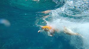 Kutya mentőmellény